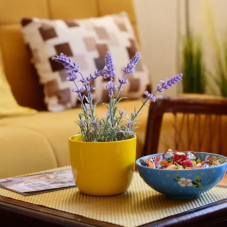 Rosi Apartman Split